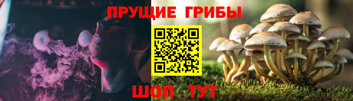 Псилоцибиновые грибы Magic Shrooms  Псилоцибиновые грибы ЛСД  Вход с VPN  Мценск 